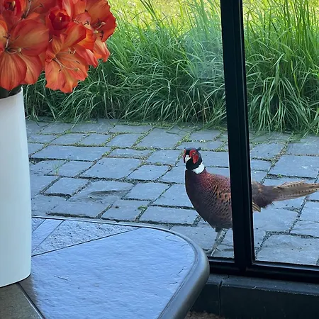 Holiday home Weg-van-de-stad Vakantieverblijf