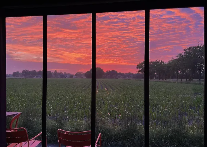 Weg-van-de-stad Vakantieverblijf 't Harde