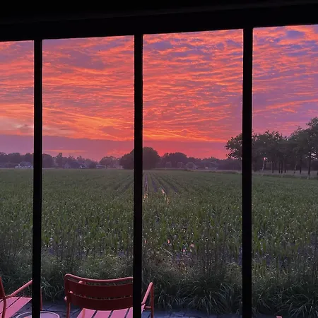 Weg-van-de-stad Vakantieverblijf 't Harde