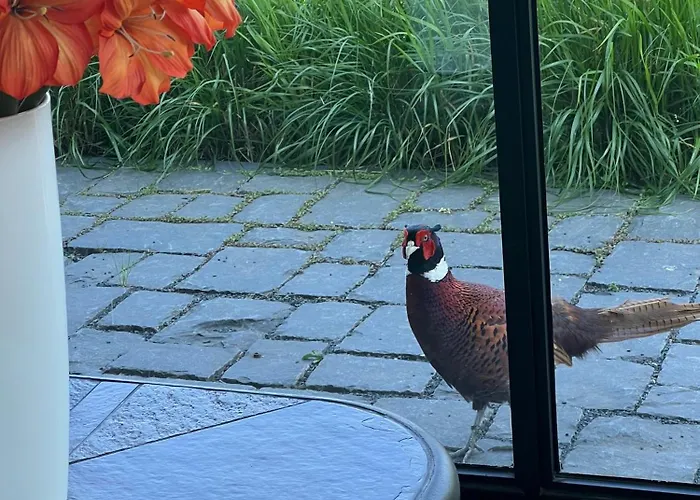 Дом отдыха Weg-van-de-stad Vakantieverblijf